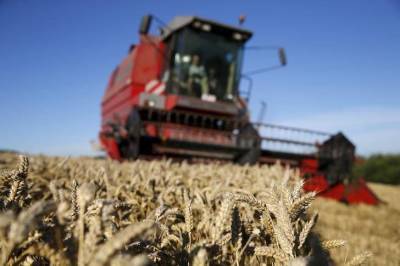 Минсельхоз РФ подтвердил прогноз урожая зерна в 21г 127,4 млн т, пшеницы 81 млн т -- СМИ