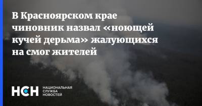 В Красноярском крае чиновник назвал «ноющей кучей дерьма» жалующихся на смог жителей