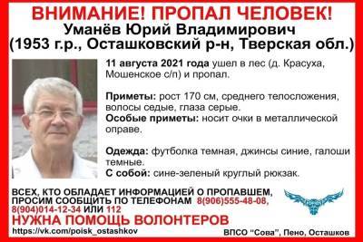 В Тверской области пенсионер ушел в лес и пропал