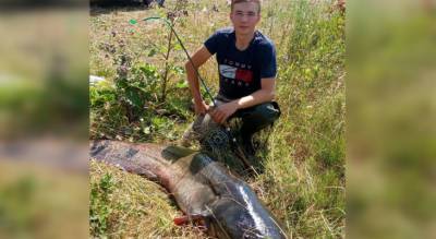 В Чебоксарах 18-летний рыбак выловил 50-килограммового сома