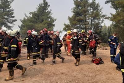 Украинские пожарные потушили два масштабных пожара в Греции