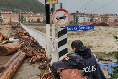 Пожары сменили наводнения: в Турции погибли шесть человек и 13 - пострадал