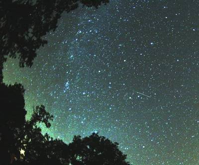 Украинцы смогут увидеть самый зрелищный звездопад года: названа дата