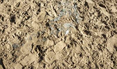 В Тюмени неизвестный рассыпал битое стекло на площадке для собак