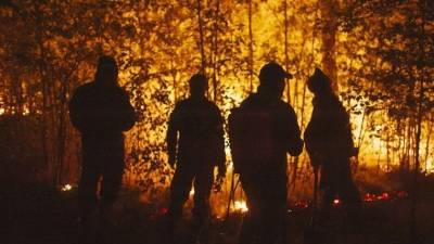 «Умирать начнут городами»: Эколог — об опасности лесных пожаров в мире