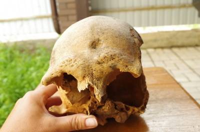 В Челябинской области нашли 17 детских могил эпохи бронзы