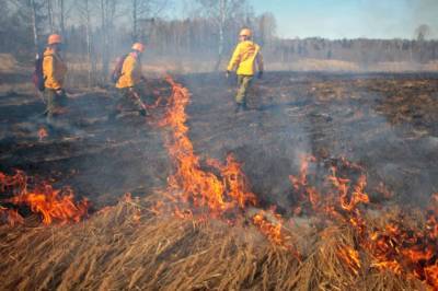 В Удмуртии муниципалитет заплатил штраф 200 тысяч рублей за возгорание травы