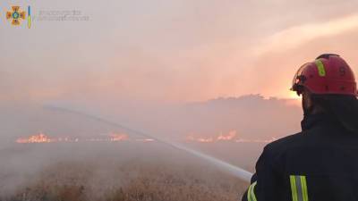 Под Лисичанском огонь уничтожал поля: видео масштабного пожара