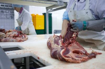 Курганские полицейские вернули мясом украденных у фермера овец