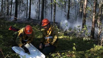 В Якутии ограничили электроснабжение пяти районов в связи с пожарами