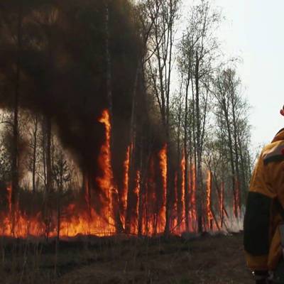 Пятница объявлена нерабочим днем в 11 районах и городах Якутии из-за дыма от лесных пожаров