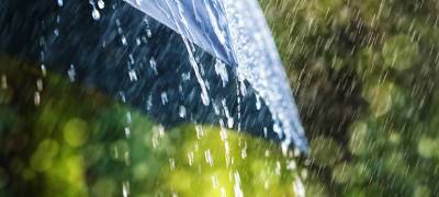 Сильные дожди пройдут в пятницу в большинстве районов Карелии