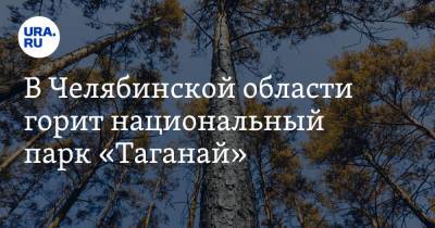 В Челябинской области горит национальный парк «Таганай»