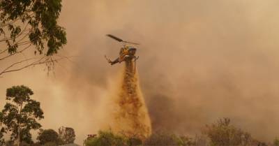 Греция в огне: выжжено уже более 100 тысяч гектаров территорий