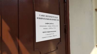 Партии "Родина" отказали в регистрации на выборы депутатов в ЗакС Петербурга