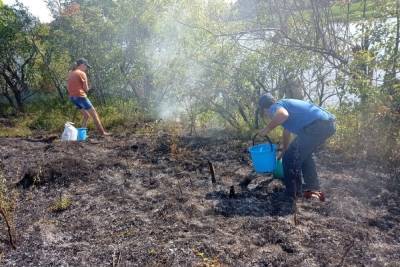 В Марий Эл из-за туристов произошел пожар на острове на Волге