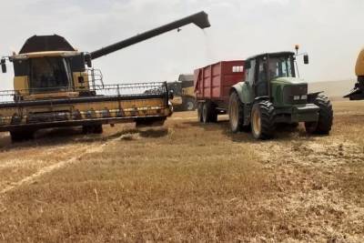 Псковская область заняла второе место по валовому сбору зерна в СЗФО