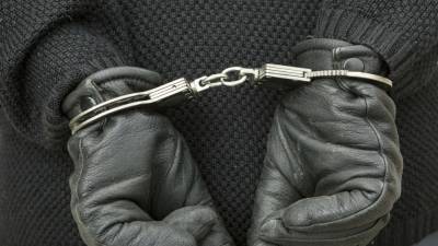 Силовики на Алтае задержали мучавшего 12-летнюю школьницу в подвале мужчина
