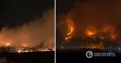 Лесные пожары в Греции – последние новости, фото и видео – задержаны поджигатели
