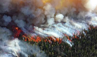 В России назвали площадь природных пожаров за первое полугодие текущего года