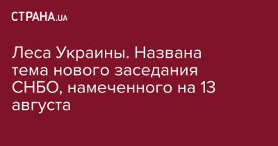 Леса Украины. Названа тема нового заседания СНБО, намеченного на 13 августа