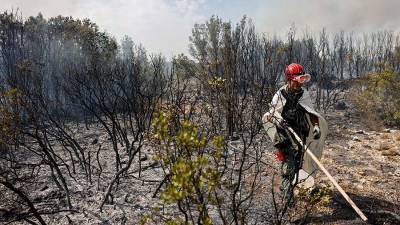 В Турции заявили о ликвидации всех лесных пожаров в стране