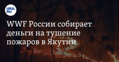 WWF России собирает деньги на тушение пожаров в Якутии