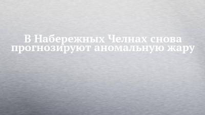 В Набережных Челнах снова прогнозируют аномальную жару