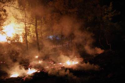 В Турции потушены все лесные пожары