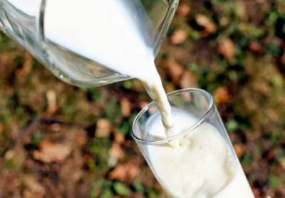 Диетолог Аплетаева перечислила опасные последствия отказа от молочных продуктов