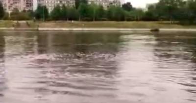 «Кипящая» вода в Москве-реке взволновала горожан