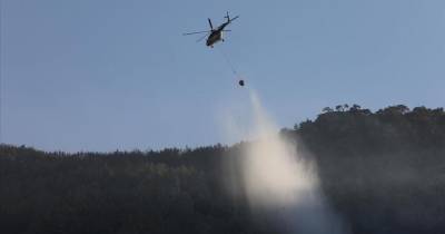 Власти Турции объявили о победе над лесными пожарами – спустя 15 дней борьбы
