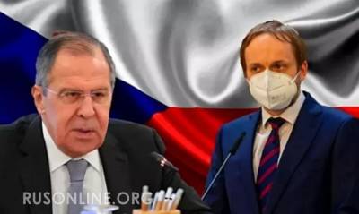 Гладко стелят: Обращение чешского политика к России обернулось скандалом