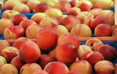 Грузия анонсировала рекордный экспорт персиков и яблок
