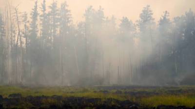 В 11 районах и городах Якутии пятница объявлена выходным днем из-за пожаров