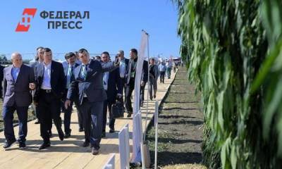 Бюджет Свердловской области пополнят за счет конопли
