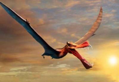В Австралии открыли новый вид гигантских птерозавров