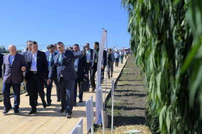 Свердловский губернатор решил попробовать выращивать коноплю