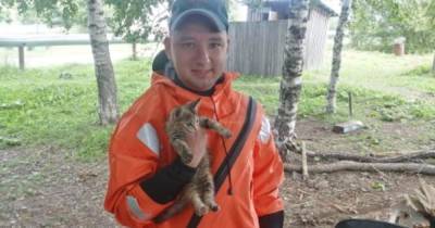 В МЧС Приамурья приютили собаку и котенка, спасенных после паводка