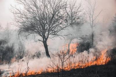 В Бурзянском районе потушили шесть лесных пожаров близ населенных пунктов