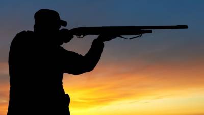 Неизвестные обстреляли машину охотуправления в Приамурье и ранили инспектора