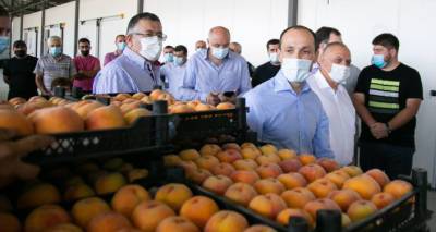 Экспорт персиков из Грузии превысил 23 миллиона долларов