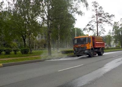Миллион кубометров воды вылили на дороги Петербурга этим летом