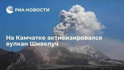 Институт вулканологии и сейсмологии ДВО РАН сообщил об активизации вулкана Шивелуч на Камчатке