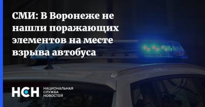 СМИ: В Воронеже не нашли поражающих элементов на месте взрыва автобуса