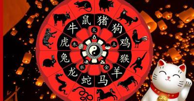 Китайский гороскоп: знаки зодиака, которых ждет большая удача в первой половине 2022 года