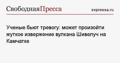 Ученые бьют тревогу: может произойти жуткое извержение вулкана Шивелуч на Камчатке