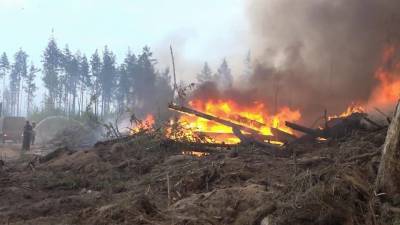 В Мордовском заповеднике площадь активного горения всего за день увеличилась в 18 раз