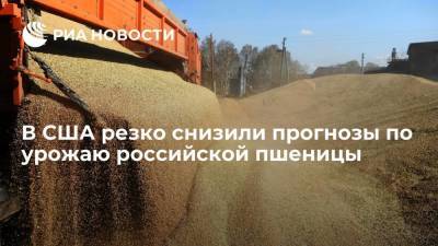 Минсельхоз США резко снизил прогнозы по урожаю и экспорту российской пшеницы в 2021 году
