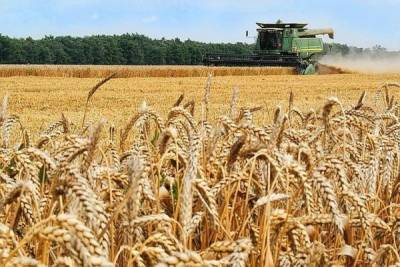Минсельхоз США выдал прогноз на снижение российского урожая пшеницы
